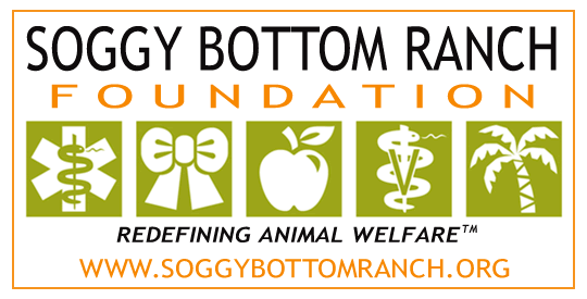 SBR Foundation